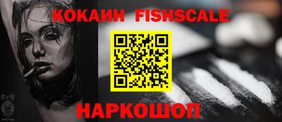 гашик Тверь