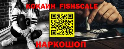 гашик Тверь