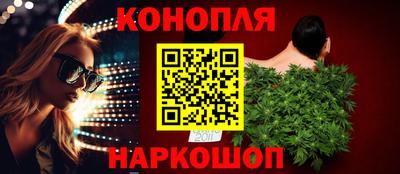 гашик Тверь