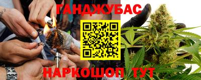 гашик Тверь