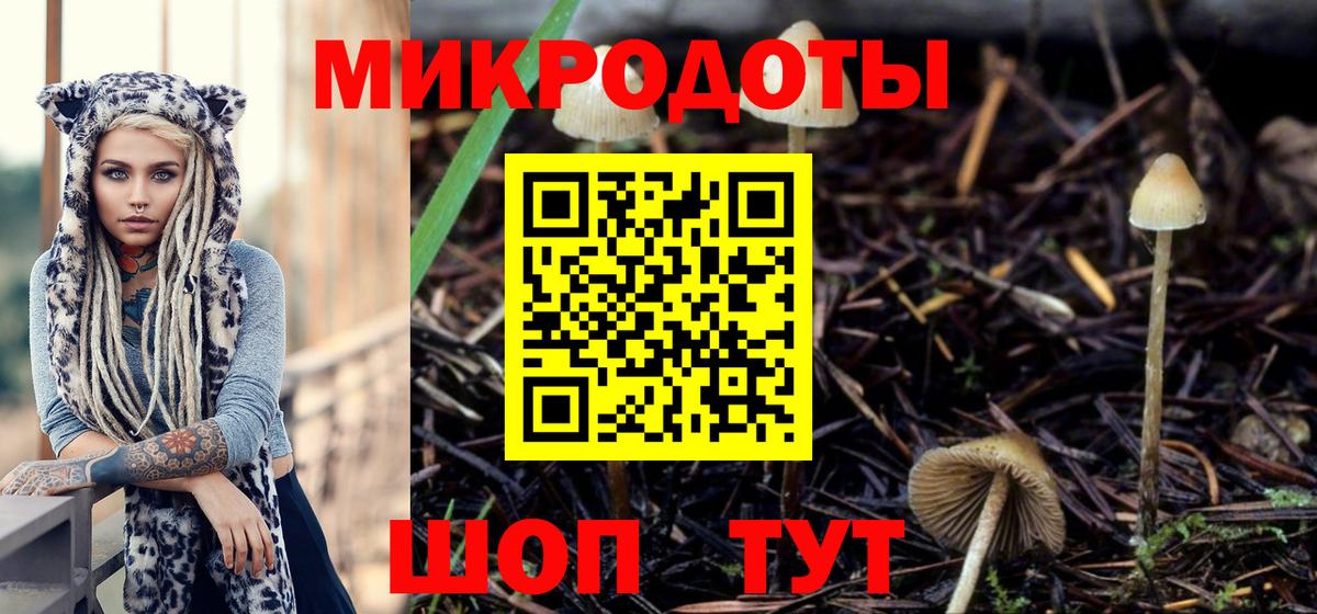 Хасавюрт  Псилоцибиновые грибы мухоморы  Вход с VPN 