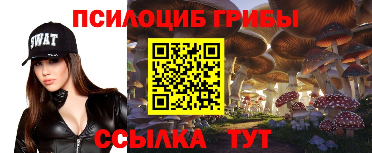 Псилоцибиновые грибы прущие грибы Хасавюрт