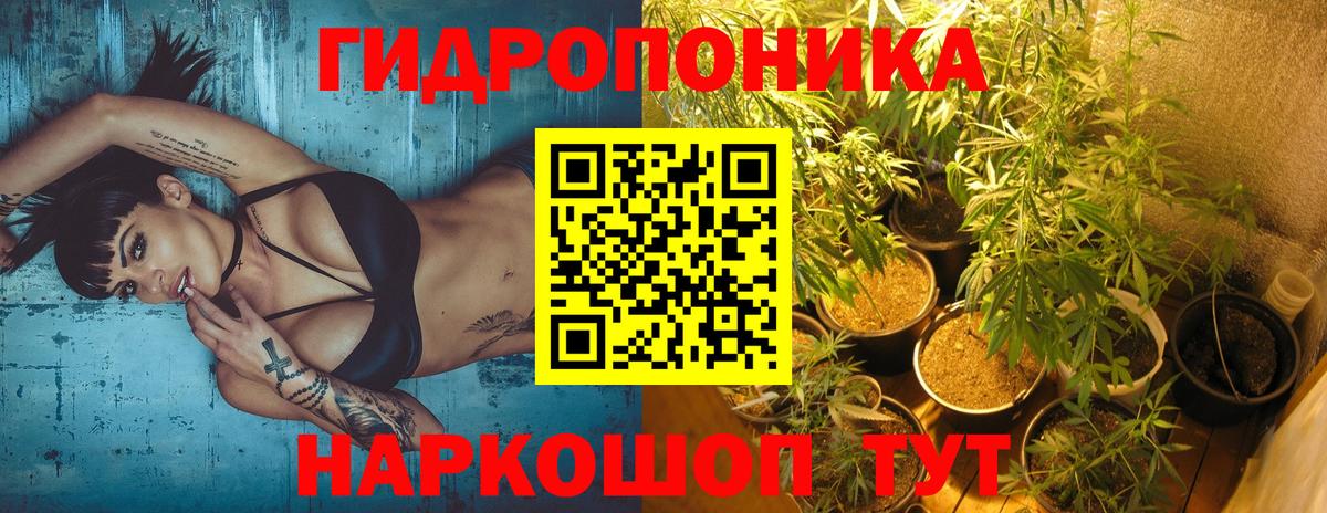 Бошки Шишки OG Kush Хасавюрт